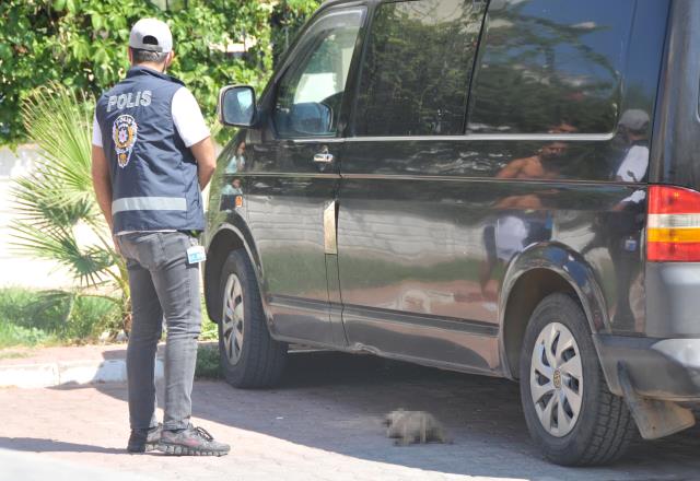 Mahalle sakinleri hüngür hüngür ağladı! Yavru köpekleri önce zehirleyip sonra yakmışlar Mahalle sakinleri hüngür hüngür ağladı! Yavru köpekleri önce zehirleyip sonra yakmışlar