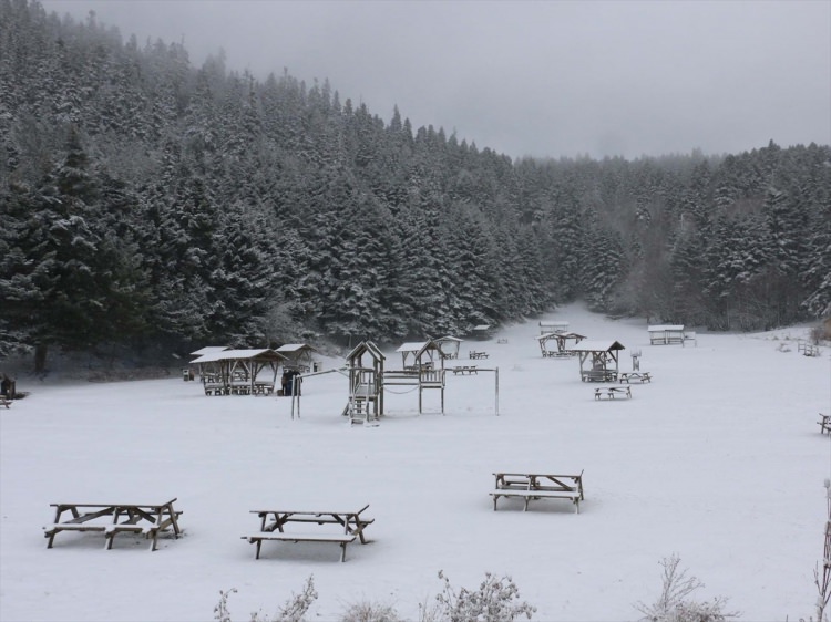<p>BOLU</p>
