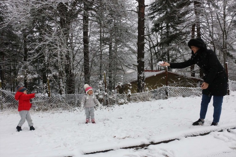 <p>BOLU</p>
