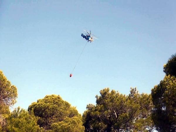 Manavgat'ta ormanı yakmaya çalışırken yakalandı