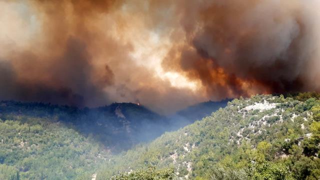 Manavgat'ta vatandaşlar su şişeleriyle alevlere müdahale ediyor Manavgat'ta vatandaşlar su şişeleriyle alevlere müdahale ediyor
