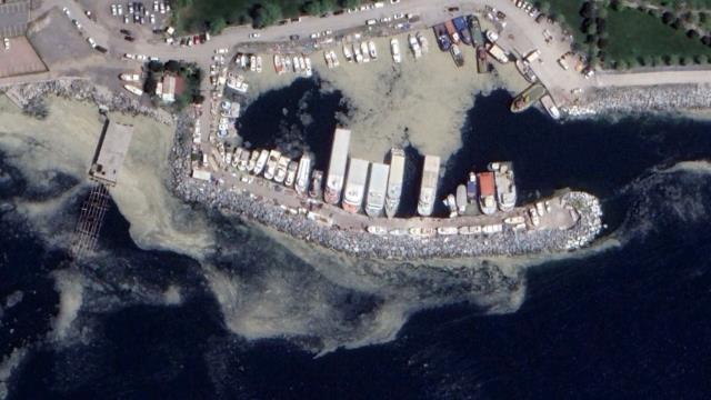 Marmara'yı katleden deniz salyası, Akdeniz'de de görülüyor