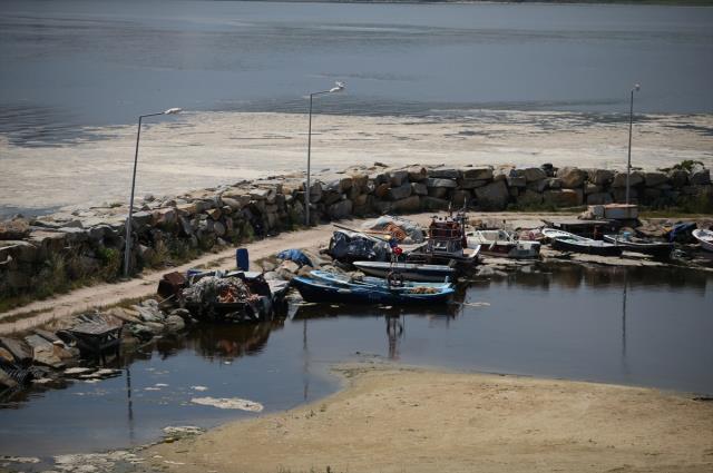 Marmara'yı yavaş yavaş öldüren deniz salyası Erdek kıyılarını kapladı