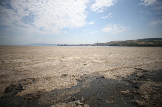 Marmara'yı yavaş yavaş öldüren deniz salyası Erdek kıyılarını kapladı