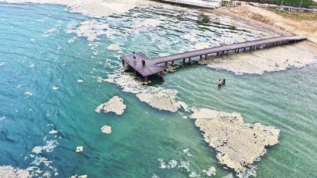 Mavi bayraklı Altın Kemer Plajı deniz salyasıyla kaplandı