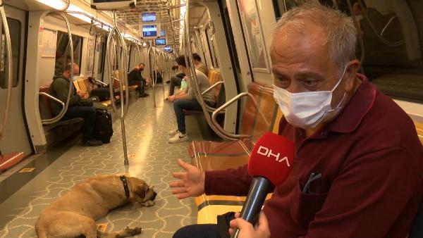 Mikroçip takılan Boji böyle takip ediliyor; bir günde 29 durak gezdi