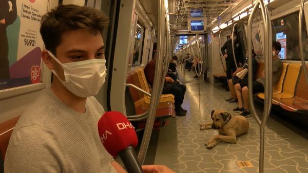 Mikroçip takılan Boji böyle takip ediliyor; bir günde 29 durak gezdi