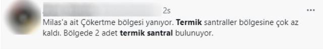 Milas'taki yangın bölgedeki termik santrallere yaklaşması panik yarattı
