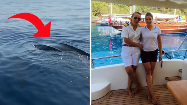 Okyanuslarda yaşayan deri sırtlı deniz kaplumbağası Türkiye'de ilk kez görüntülendi Okyanuslarda yaşayan deri sırtlı deniz kaplumbağası Türkiye'de ilk kez görüntülendi