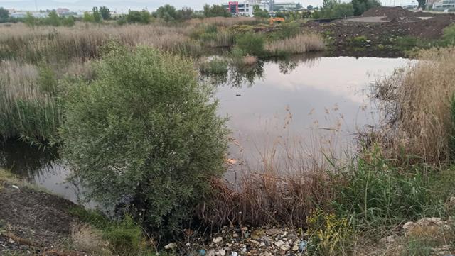 Otomobil dereye uçtu, suda can pazarı yaşandı: 3 ölü, 1 yaralı Otomobil dereye uçtu, suda can pazarı yaşandı: 3 ölü, 1 yaralı