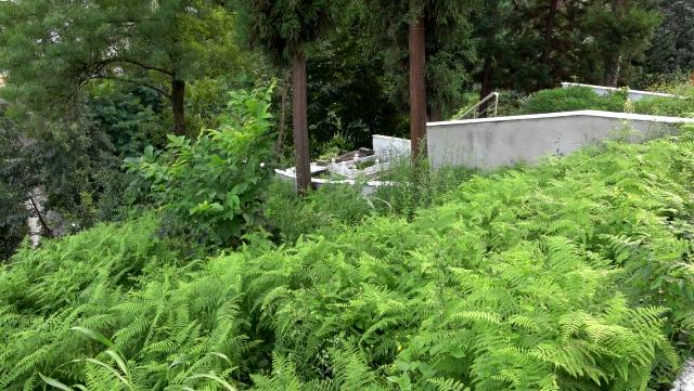 Pandemiden dolayı çalışamayan tiyatrocu Orhan Çağlar, babasından kalan mezarlığı satışa çıkardı