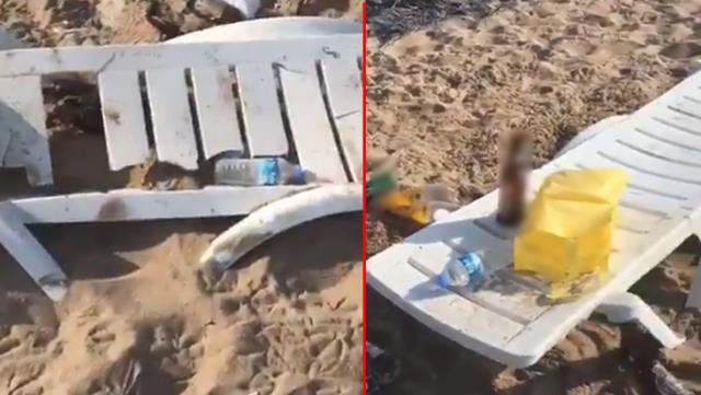 Plajdaki görüntüler Bozcaada Belediyesi'ni de çıldırttı: Nasıl, güzel miydi parti?