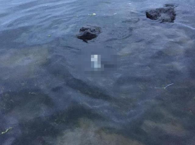 Samsun'da denizde cenin bulundu Samsun'da denizde cenin bulundu