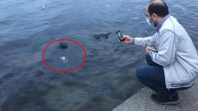 Samsun'da denizde cenin bulundu Samsun'da denizde cenin bulundu