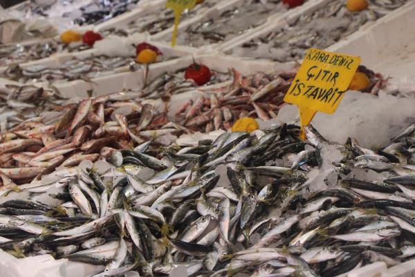 Samsun'da istavrit bolluğu; kilosu 8 TL'ye düştü