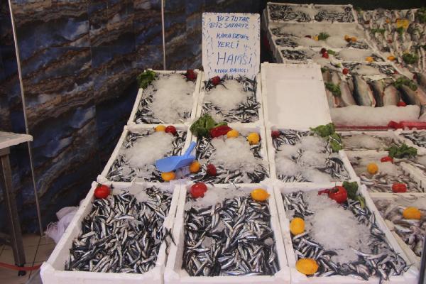 Samsun'da istavrit bolluğu; kilosu 8 TL'ye düştü