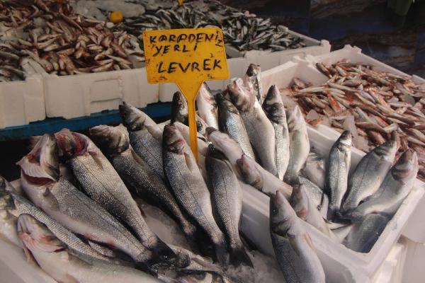 Samsun'da istavrit bolluğu; kilosu 8 TL'ye düştü