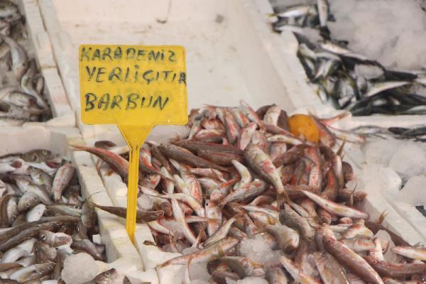 Samsun'da istavrit bolluğu; kilosu 8 TL'ye düştü