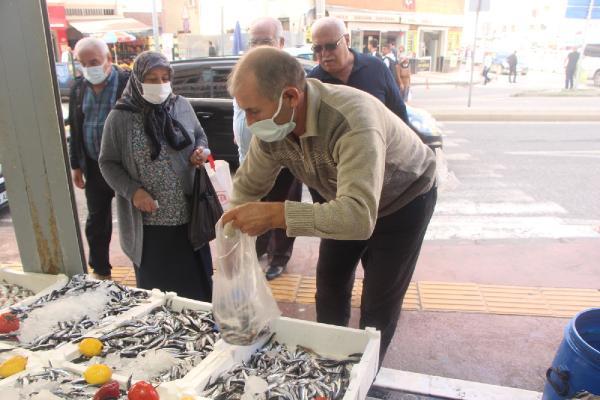 Samsun'da istavrit bolluğu; kilosu 8 TL'ye düştü