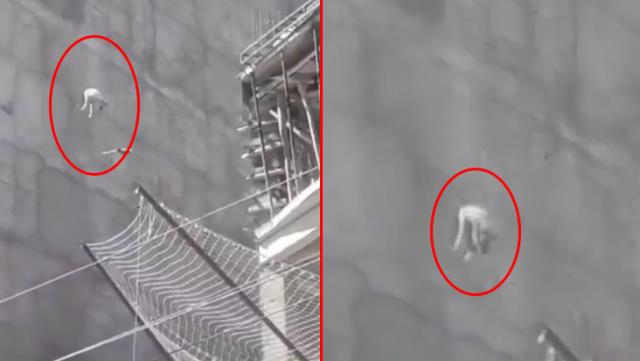 Şanlıurfa'da vahşet! Acı içinde havlayan köpeği 7. kattan aşağı attılar Şanlıurfa'da vahşet! Acı içinde havlayan köpeği 7. kattan aşağı attılar