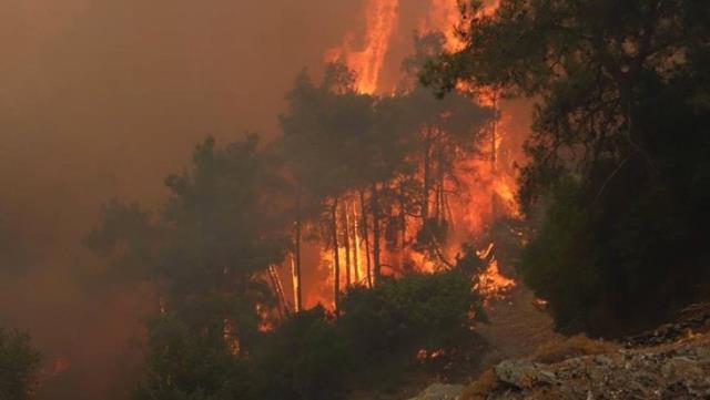 Son Dakika: 217 yangın kontrol altına alındı, 2 ildeki 6 noktada alevlerle mücadele devam ediyor Son Dakika: 217 yangın kontrol altına alındı, 2 ildeki 6 noktada alevlerle mücadele devam ediyor