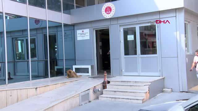 Son Dakika | 3 GÜNDÜR HABER ALINAMAYAN ÇOCUK BÜYÜKÇEKMECE'DE BULUNDU