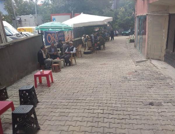 Son dakika: Biri bacakları ve başı kesilmiş, ölü 2 yavru kedi bulundu