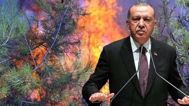 Son Dakika! Cumhurbaşkanı Erdoğan'dan yangınlarda sabotaj iddialarına yanıt: Soruşturmalar yoğun şekilde devam ediyor Son Dakika! Cumhurbaşkanı Erdoğan'dan yangınlarda sabotaj iddialarına yanıt: Soruşturmalar yoğun şekilde devam ediyor