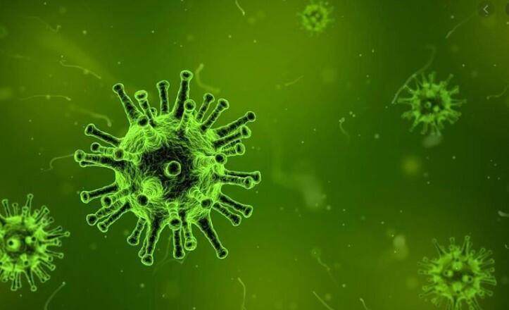 <p>Çin dışında 26 ülkeye yayılan virüs bin 770'ten fazla can aldı.</p>

<p> </p>
