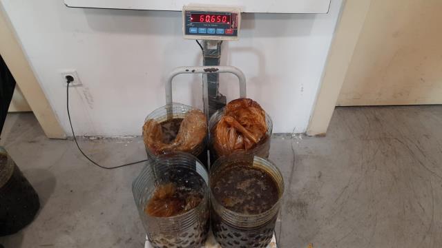Stepne lastiğe zulalanmış şekilde bulunan kaçak balın piyasa değeri cep yakıyor Stepne lastiğe zulalanmış şekilde bulunan kaçak balın piyasa değeri cep yakıyor