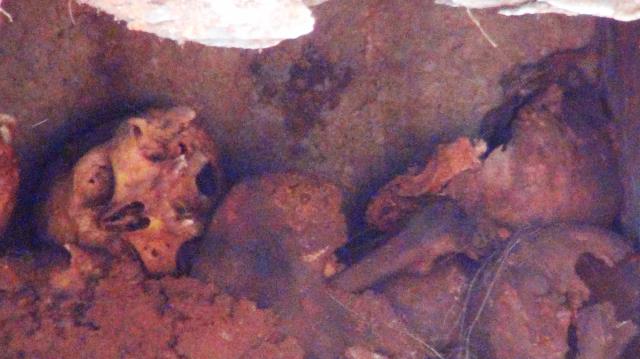 Su kanalı kazısından antik mezar çıktı! 6 tana kafatası bulundu