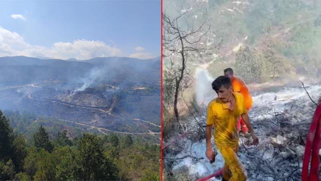 Suriye tarafında çıkan orman yangını Türkiye'ye sıçradı Suriye tarafında çıkan orman yangını Türkiye'ye sıçradı