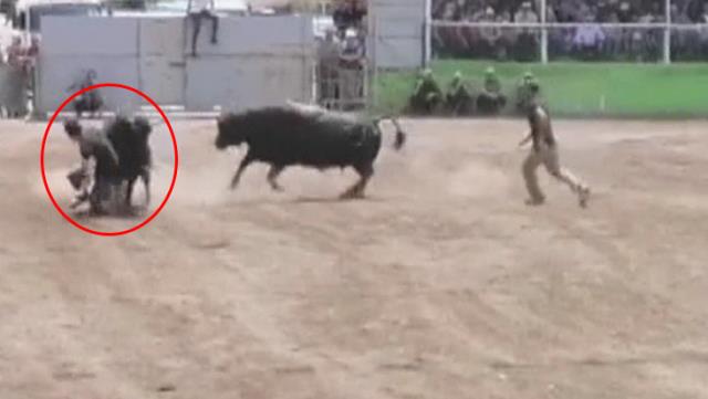 Yüreklerin ağza geldiği an! Kaçan boğa, sahibini altına alıp ezdi Yüreklerin ağza geldiği an! Kaçan boğa, sahibini altına alıp ezdi